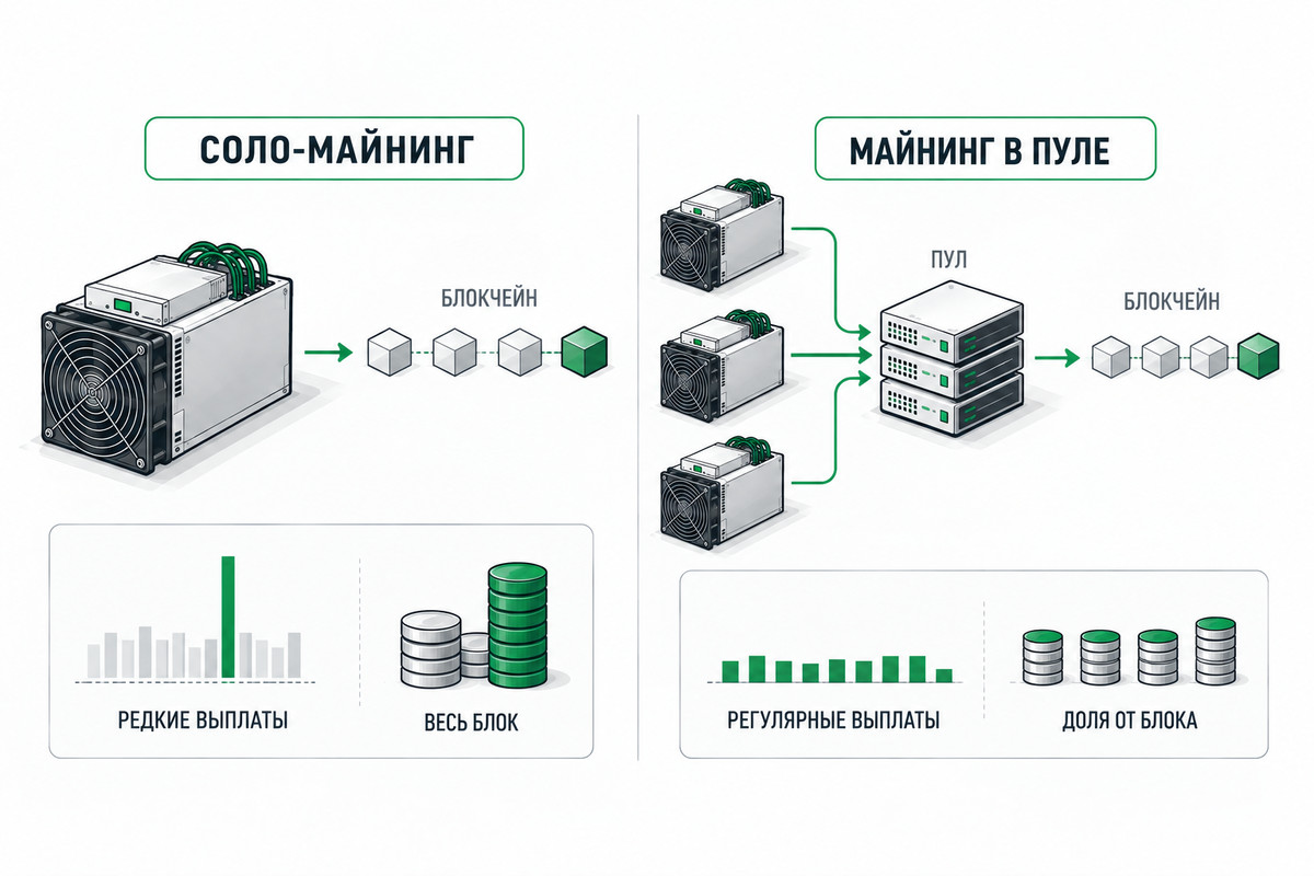 Соло-майнинг и майнинг в общем сервисе: редкие крупные выплаты против регулярных начислений по доле